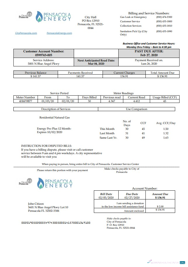 download USA Florida Pensacola Energy utility bill template in Word and PDF format PDF template